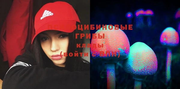 эйфоретик Лабытнанги