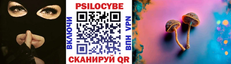 Псилоцибиновые грибы Psilocybe Арзамас