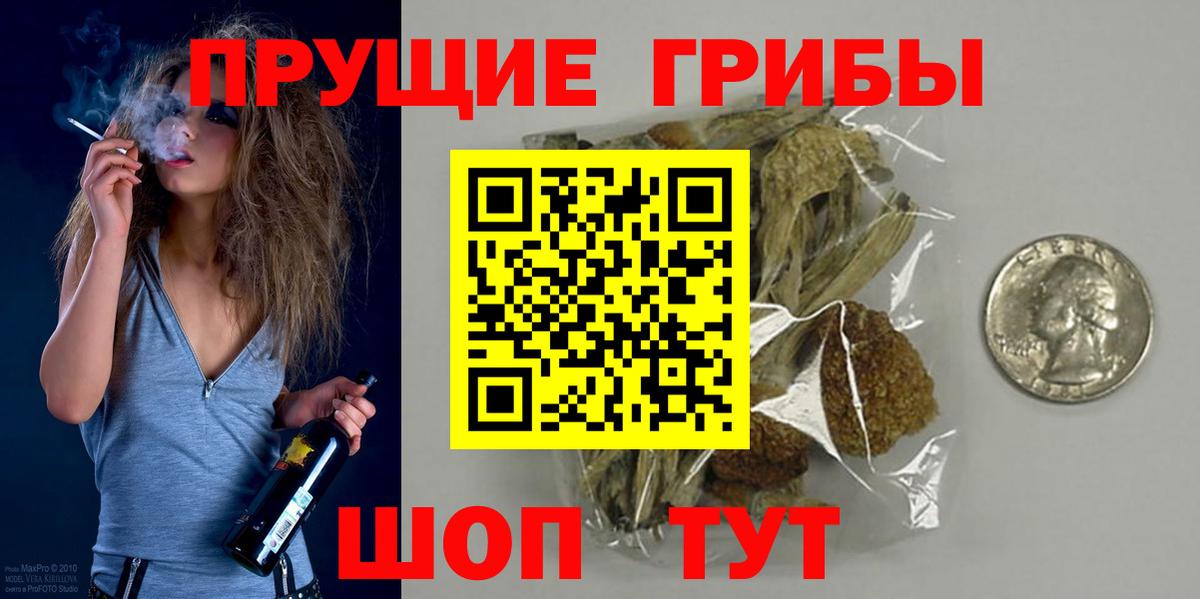 Псилоцибиновые грибы Psilocybe Арзамас